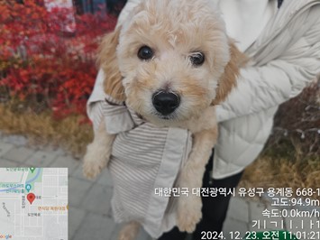 대전동물보호센터_430367202401059